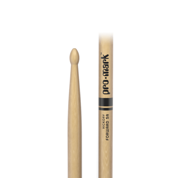 Promark Hickory Forward 5A Drumstick Logo und Tip im Focus