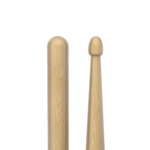 Promark Hickory Rebound 5A Drumstick Back und Tip im Focus